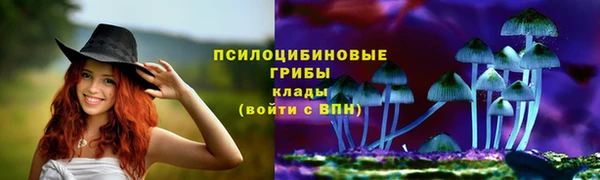 ГАЛЛЮЦИНОГЕННЫЕ ГРИБЫ Абинск