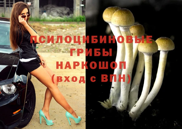 амф Абдулино